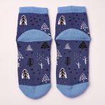 Шкарпетки “Leo Forest” святкові