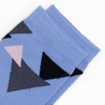 Leo Triangle