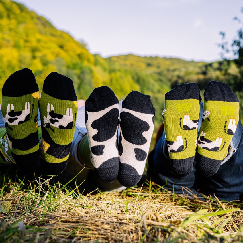 Набір “Корівки”