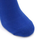 Різдвяний павук