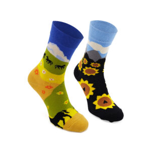 Набір "Схід"