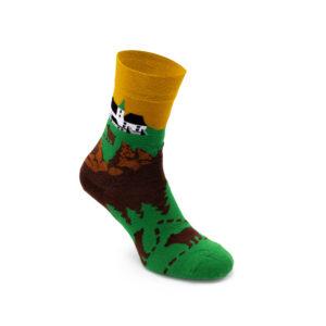 Галичина Галичина